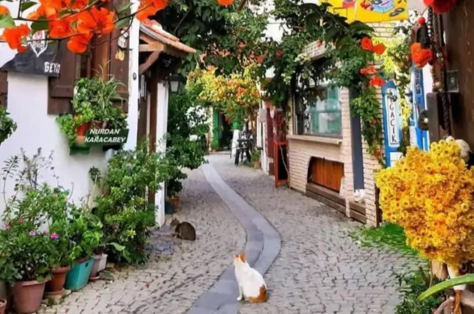 A Enthralling 2-Day Ephesus and Pamukkale Tour from Bodrum - Photo 6