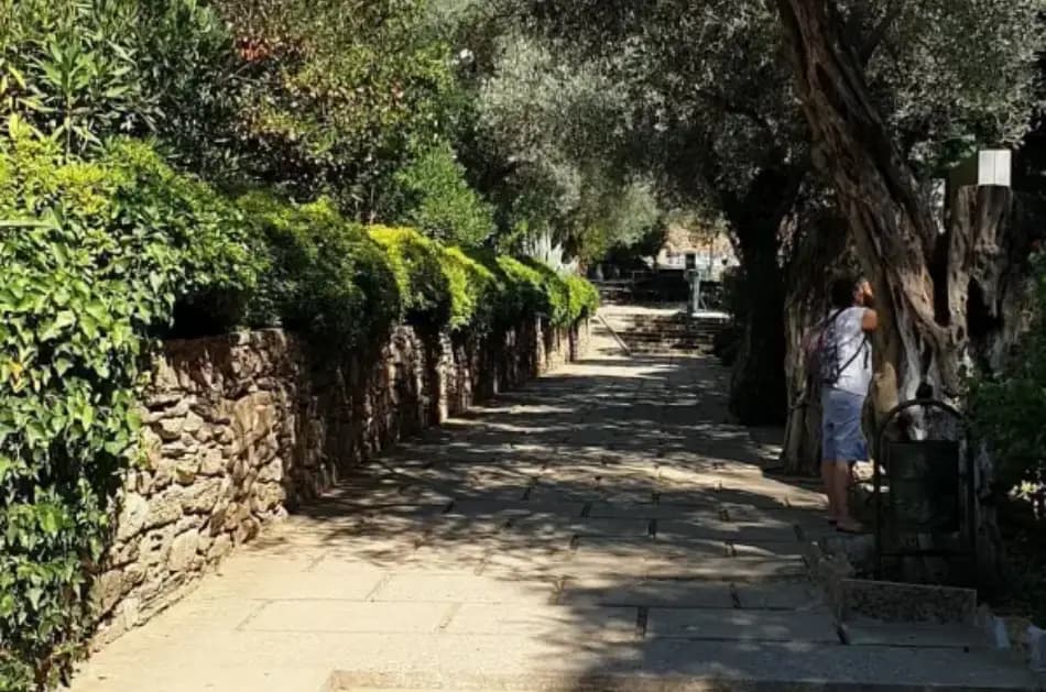 Biblical Ephesus Private Tour from Kusadasi Port - Photo 6
