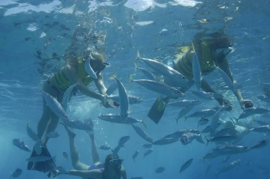 Discover the Colourful Reefs on a Kusadasi Scuba Diving Tour - Photo 11