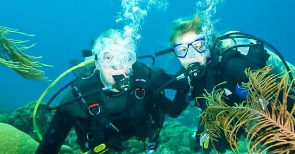 Discover the Colourful Reefs on a Kusadasi Scuba Diving Tour - Photo 1
