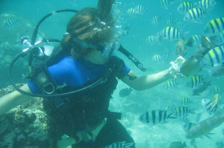 Discover the Colourful Reefs on a Kusadasi Scuba Diving Tour - Photo 8