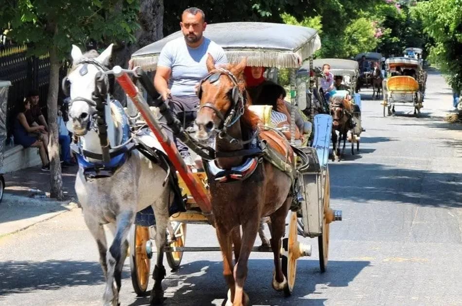 Istanbul Cruise Tour to the Princes Islands with Lunch - Photo 14