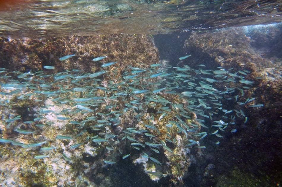 Private Boat Trip to the Beautiful Kas Islands - Photo 12