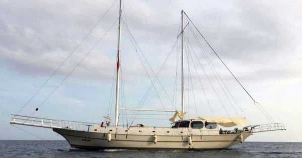 Private Gulet Cruise on the Turkish Coast From Bodrum - Photo 1