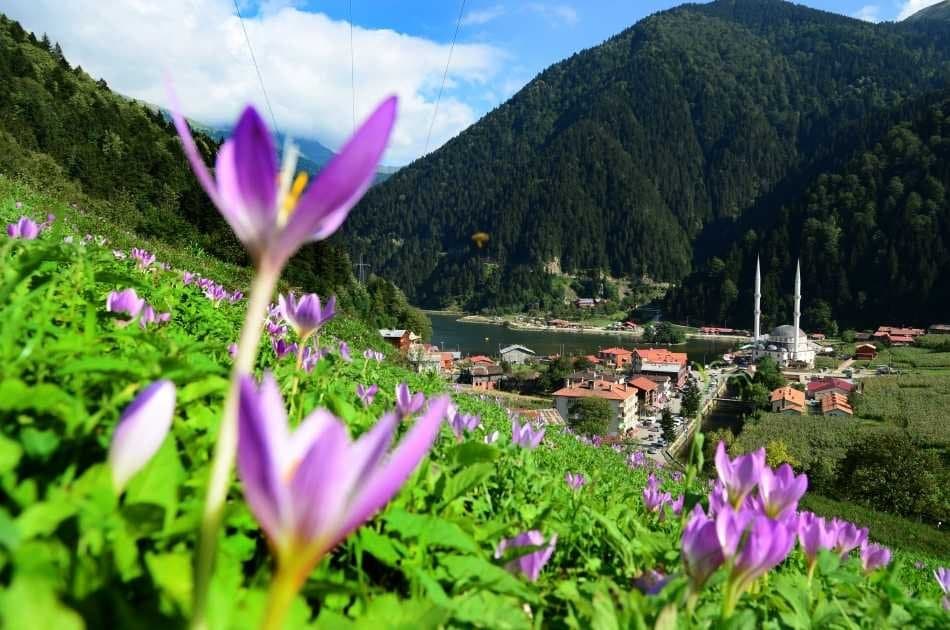 Private Tour of the Switzerland Landscape of Uzungol Lake - Photo 5