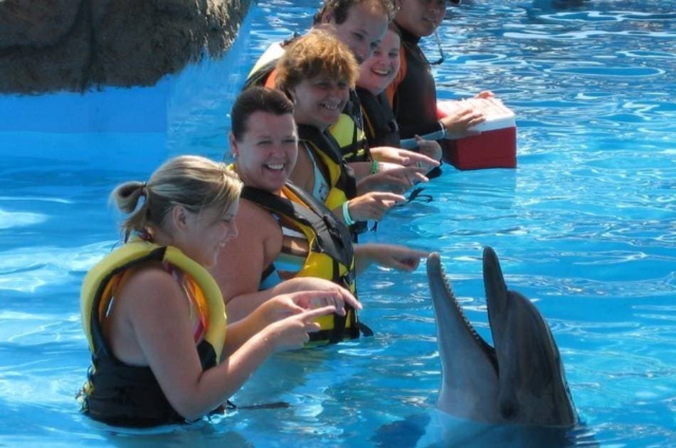 Ride the Slides on a Adaland Waterpark Tour in Kusadasi - Photo 4
