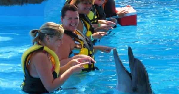 Ride the Slides on a Adaland Waterpark Tour in Kusadasi - Photo 1