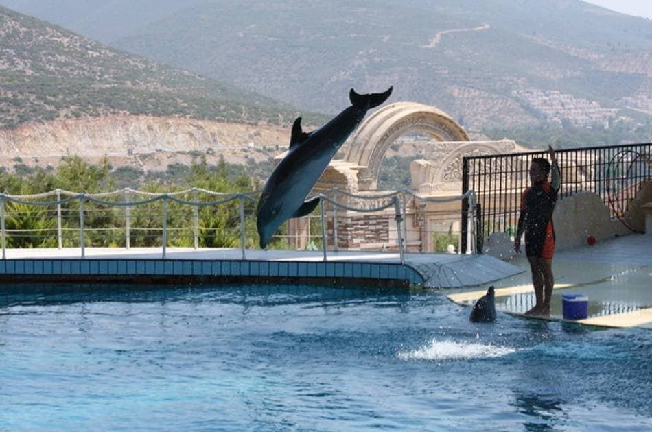 Ride the Slides on a Adaland Waterpark Tour in Kusadasi - Photo 10
