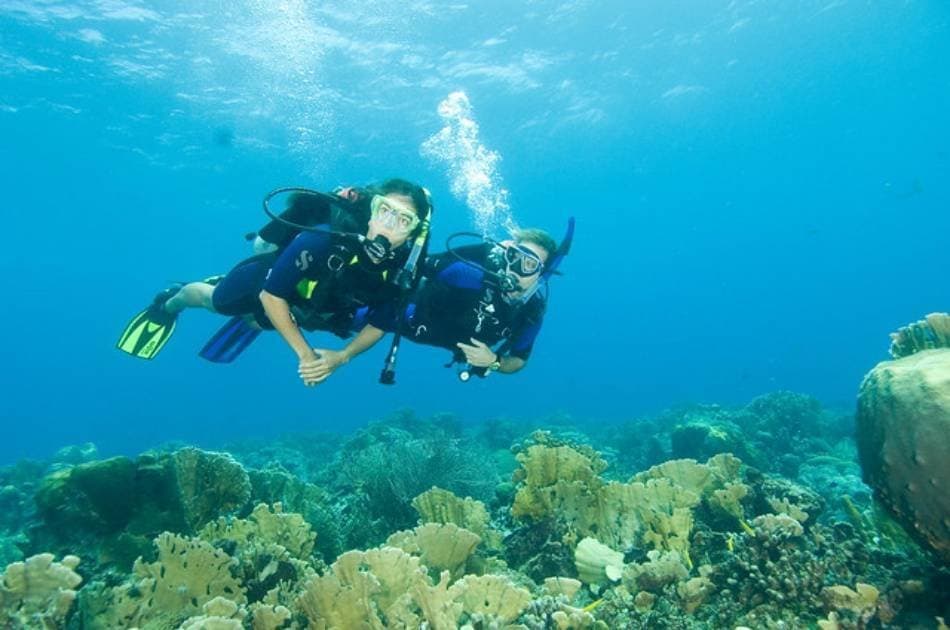 See the Underwater World on a Scuba Diving Tour from Kemer, Side and Alanya - Photo 11