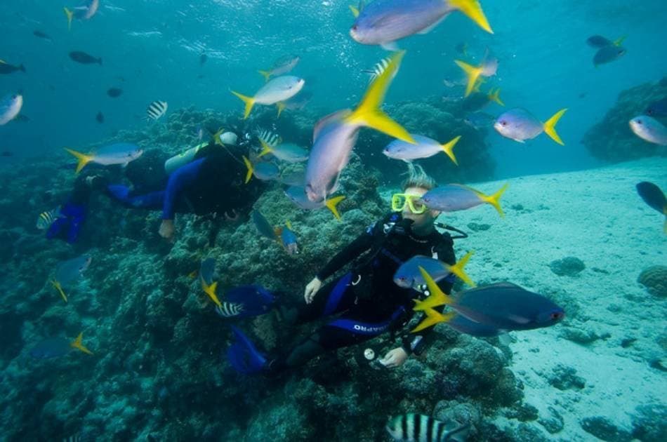 See the Underwater World on a Scuba Diving Tour from Kemer, Side and Alanya - Photo 5