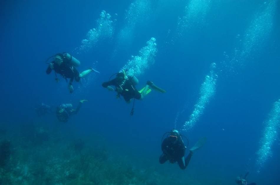 See the Underwater World on a Scuba Diving Tour from Kemer, Side and Alanya - Photo 9