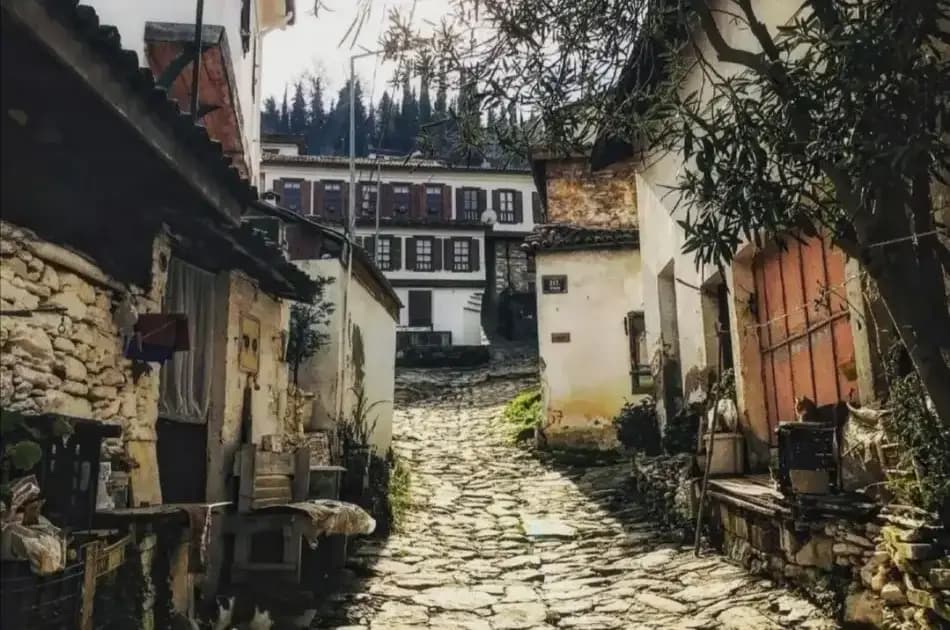 SKIP THE LINE Half-day Ephesus & Sirince Village Tour From Kusadasi - Photo 7