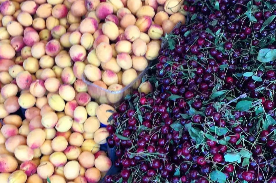 Tantalise Your tastebuds On This Turkey Real Food Adventure Tour - Photo 2