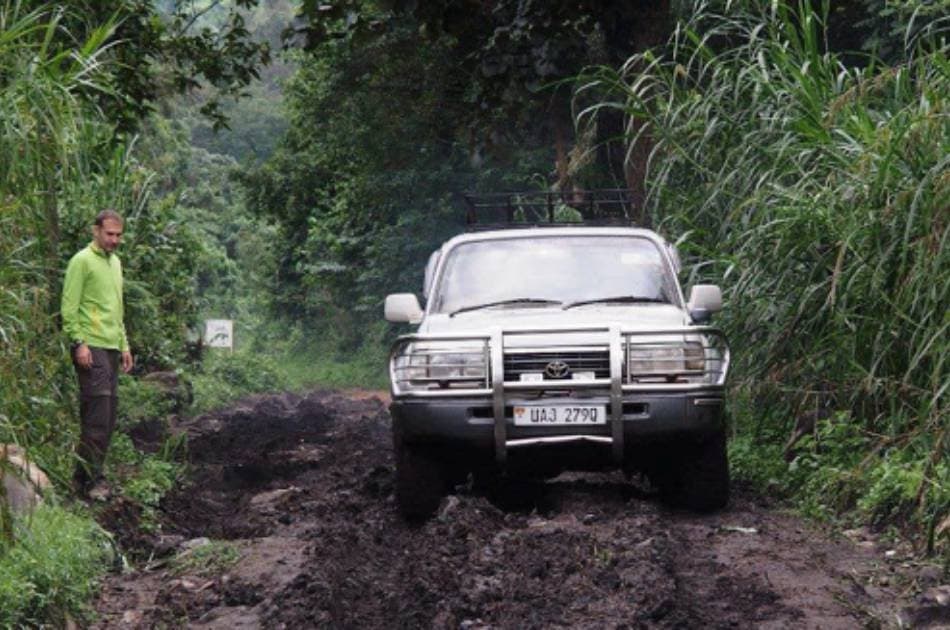 13 Day Gorilla and Safari Tour - Photo 13