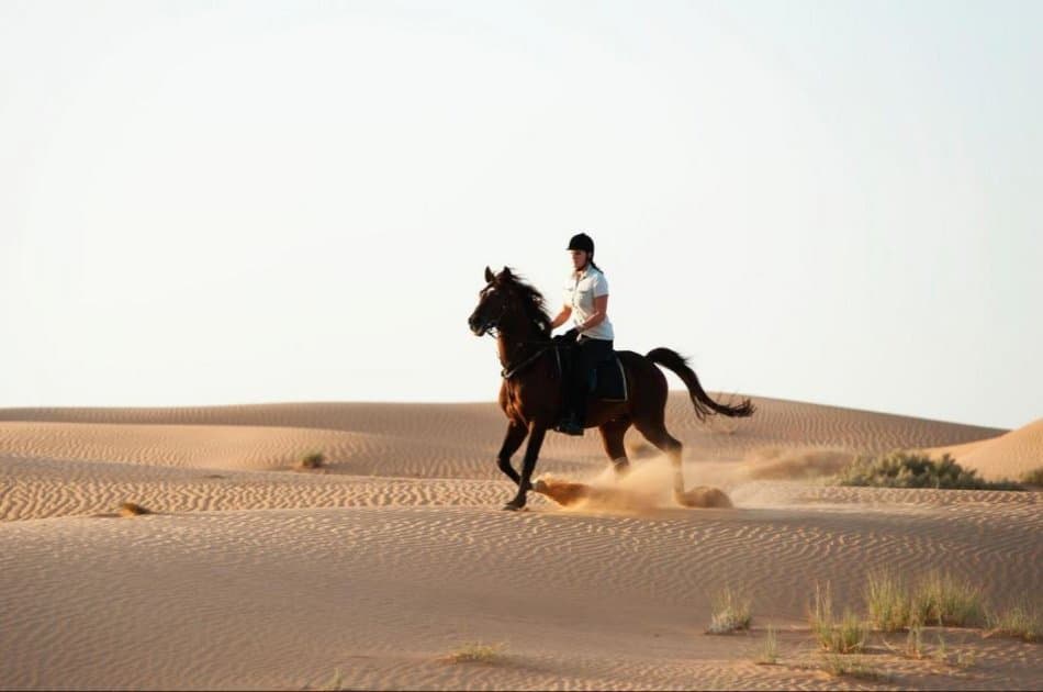 Private 4x4 Dubai Desert Safari with Dinner - Photo 2