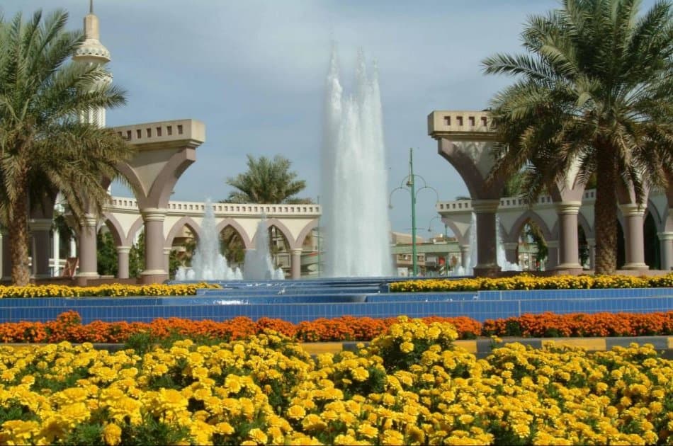 Private Al Ain Tour with lunch - Photo 2