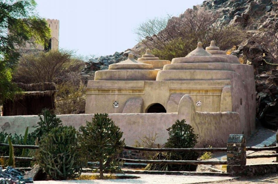Private East Coast Fujairah Tour With Lunch - Photo 4