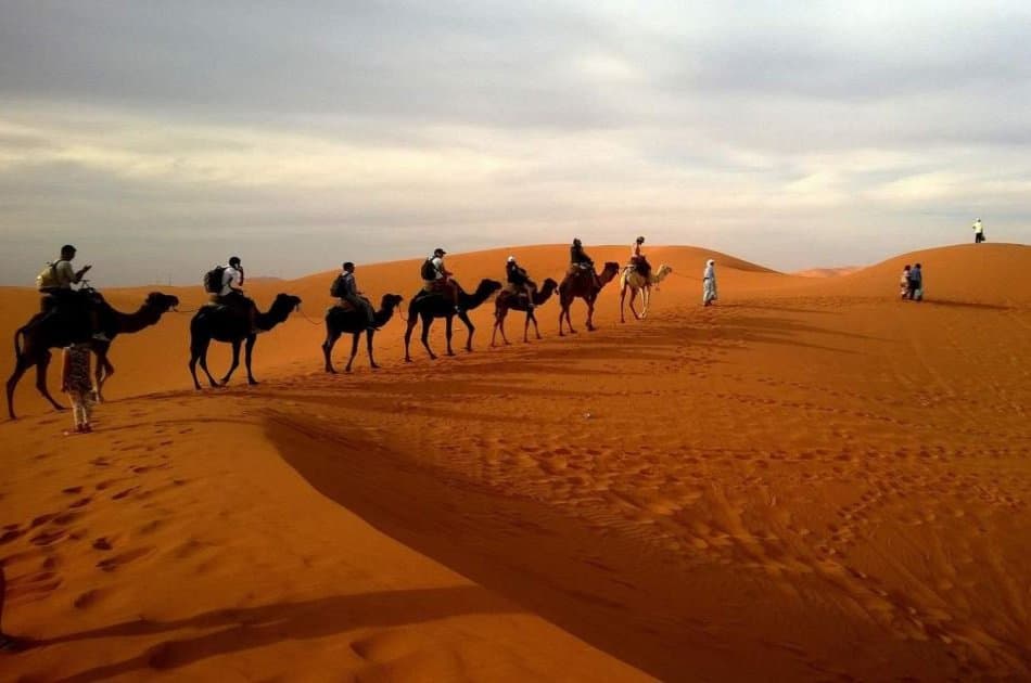 Private Morning Safari of Arabian Desert - Photo 4