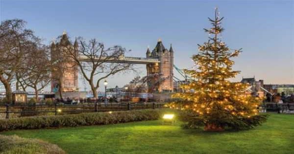 One Day Hop on Hop Off Bus Tour - Christmas Day - Photo 1