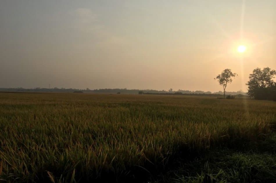 A Glimpse Of Mekong Delta Ben Tre & Can Tho from Saigon - Photo 5