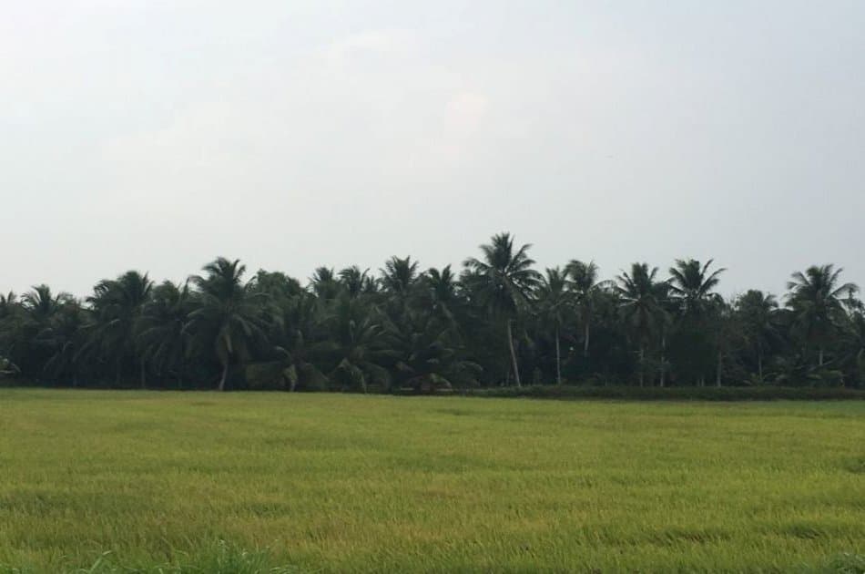 A Glimpse Of Mekong Delta Ben Tre & Can Tho from Saigon - Photo 6