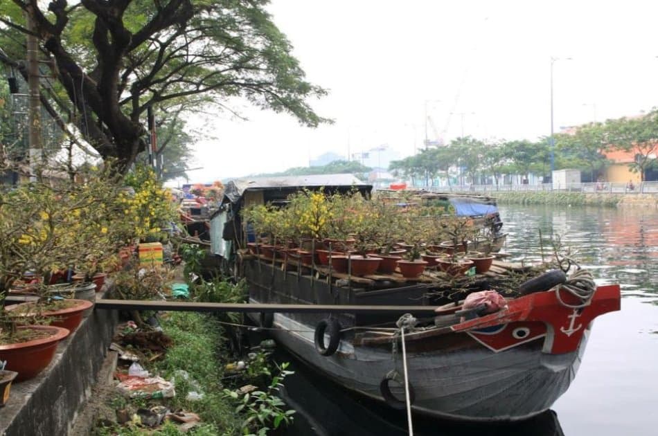 A Glimpse Of Mekong Delta Ben Tre & Can Tho from Saigon - Photo 2