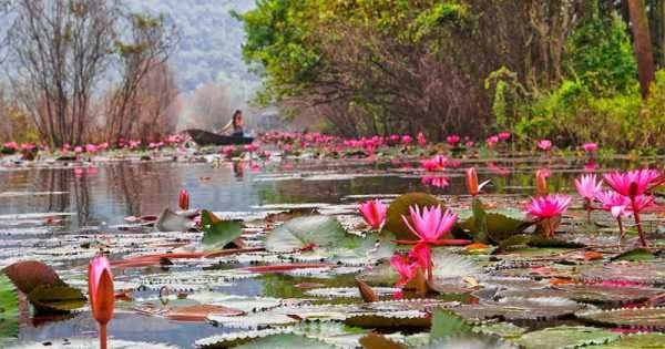 Buddhism Pilgrimage - Perfume Pagoda Trip - Photo 1
