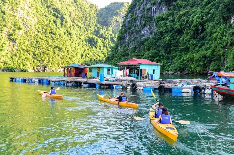 Full Day Group Tour of Halong Bay From Hanoi - Photo 6