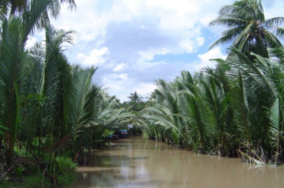 Mekong Delta - My Tho Ben Tre - Full Day Tour from Ho Chi Minh - Photo 4