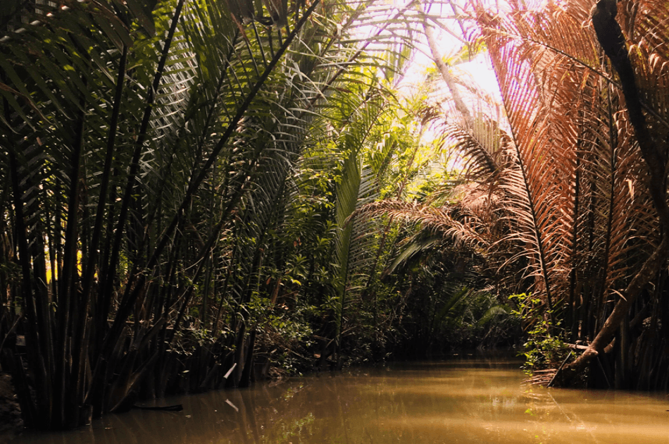 Mekong Delta - Rural Life Tour - Photo 2