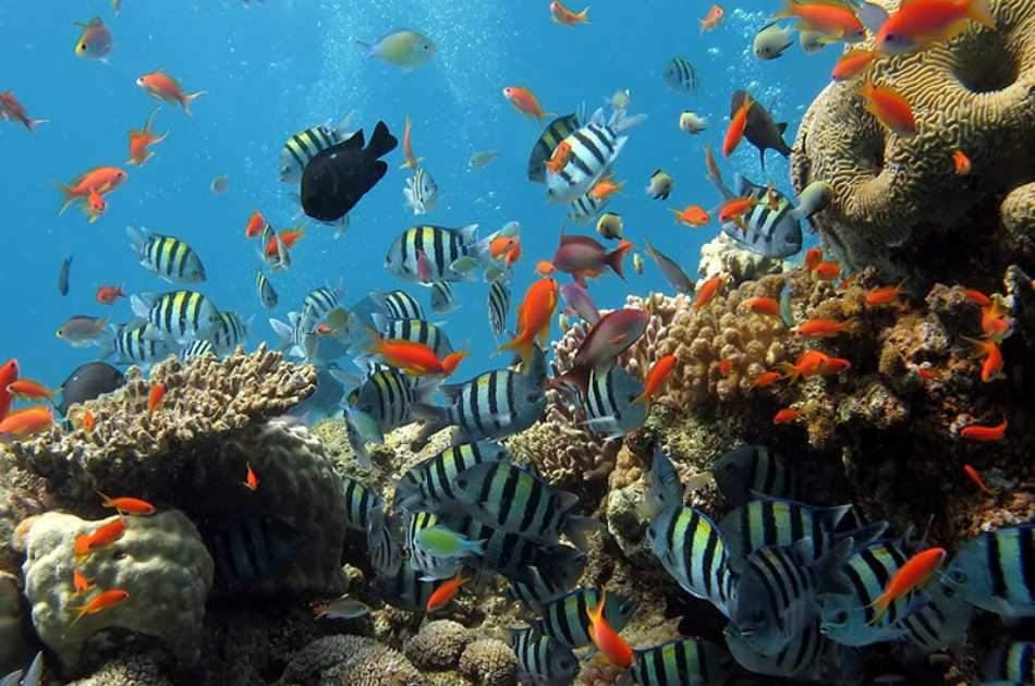 Nha Trang Island Day Tour With Snorkelling & Fishing - Photo 4
