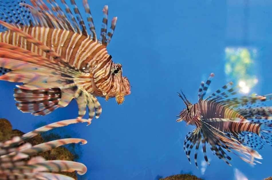 Nha Trang Island Day Tour With Snorkelling & Fishing - Photo 6