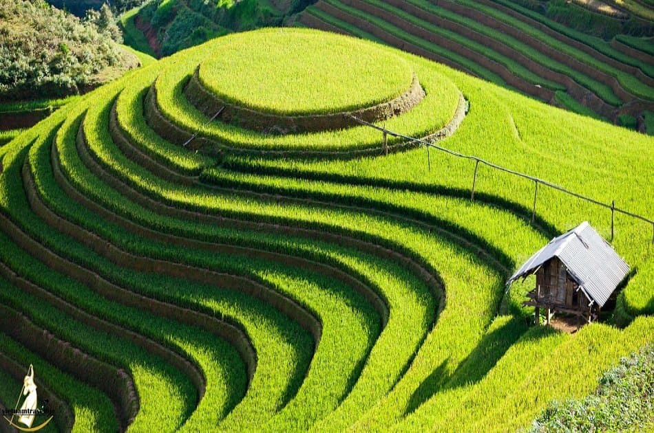 Sapa 2 Days 1 Night by Bus From Ha Noi - Photo 3