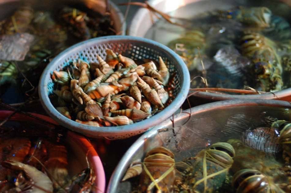 The Seafood Tour by Night - Photo 9