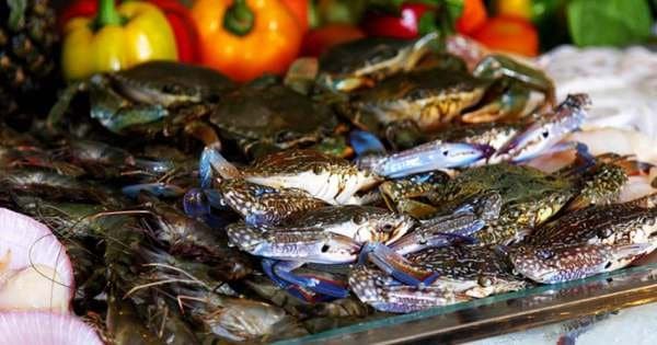 The Seafood Tour by Night - Photo 1