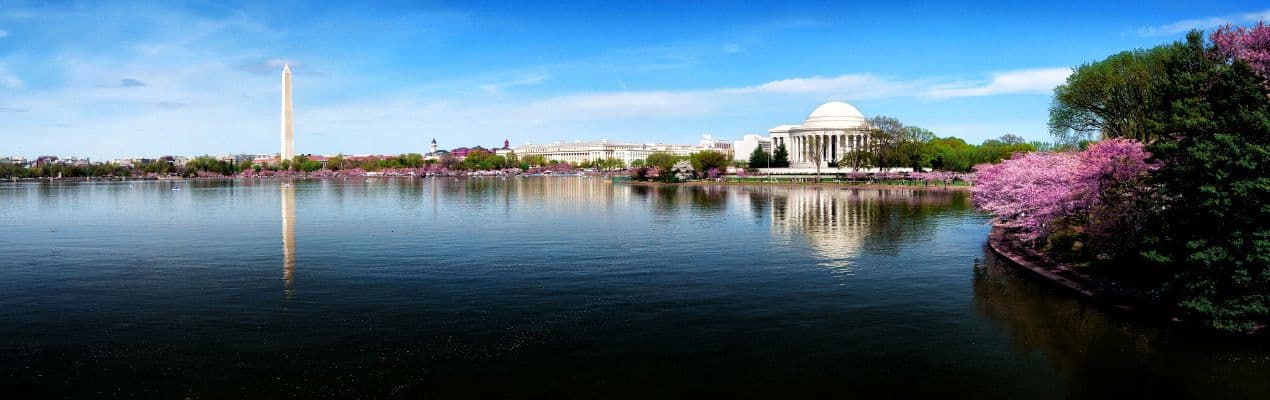 Top 20 Things to Do in Washington, D.C
