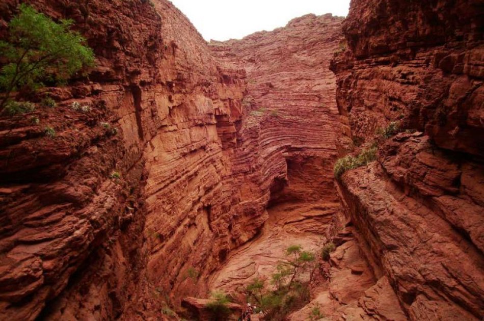 Find Your Way Through Los Cardones National Park