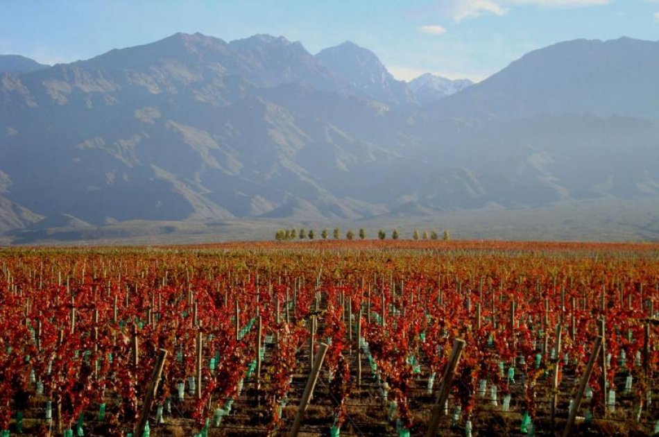 Get The Taste of Uco Valley - Wine Tasting At Its Best