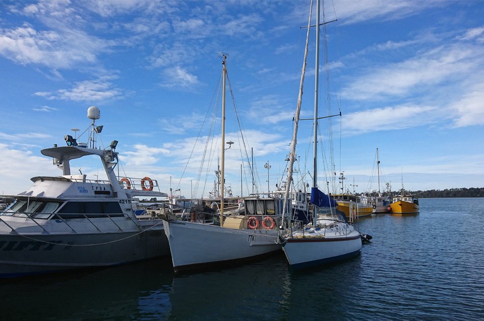 A Full Day Of Coastal Heaven at The Bay Of Fires On A Private Tour