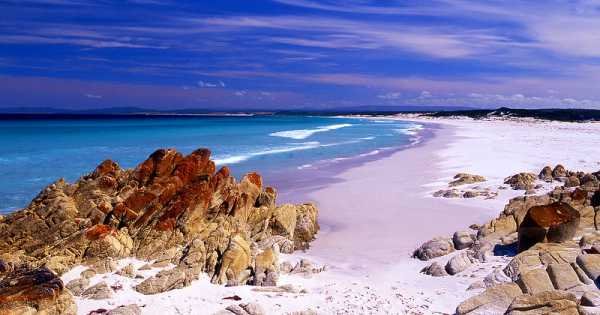 A Full Day Of Coastal Heaven at The Bay Of Fires On A Private Tour