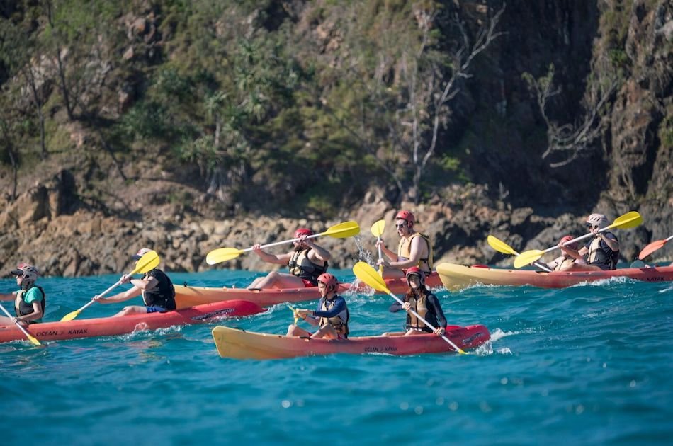 Kayak with the Dolphins in Majestic Byron Bay Group Tour
