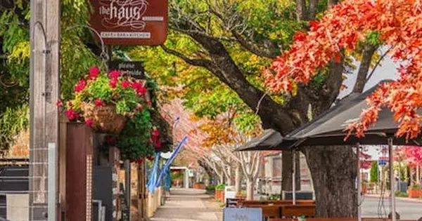 South Australia Highlights Full-Day Tour