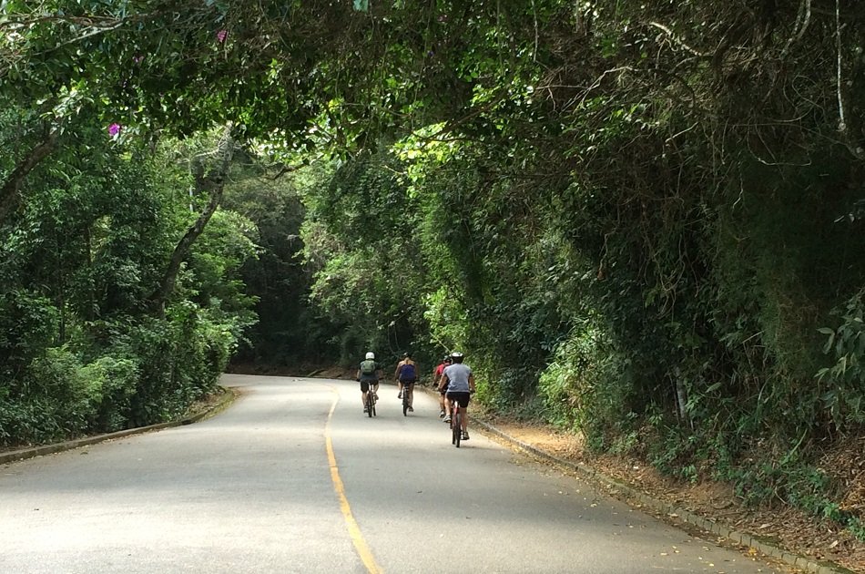 Rio de Janeiro's Jungle Bike Tour in Tijuca National Park