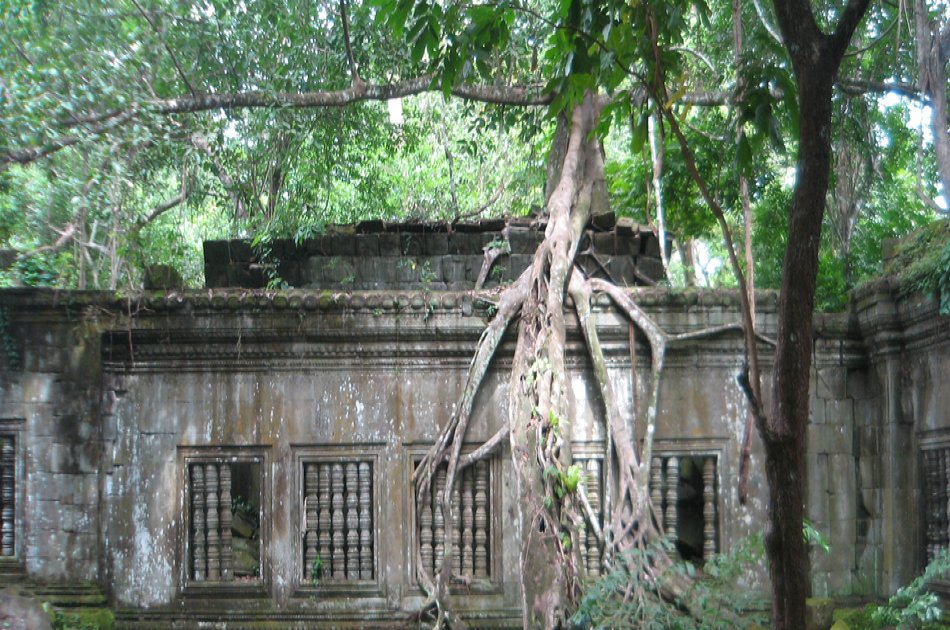 Full Day Hidden Temples & Jungle Temple in Beng Melea Private Tour