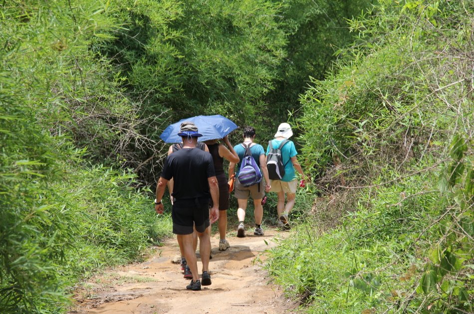 Full Day Hidden Temples & Jungle Temple in Beng Melea Private Tour