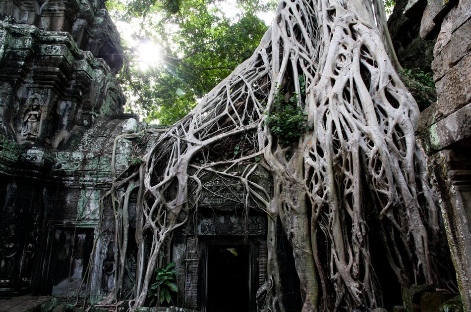 The Highlights of Angkor on a Private Full Day Tour