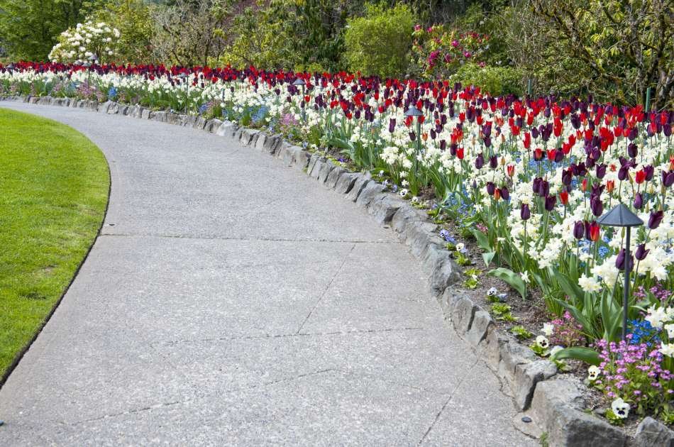Luxury Tour of Victoria and the Butchart Gardens