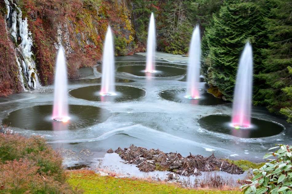 Luxury Tour of Victoria and the Butchart Gardens