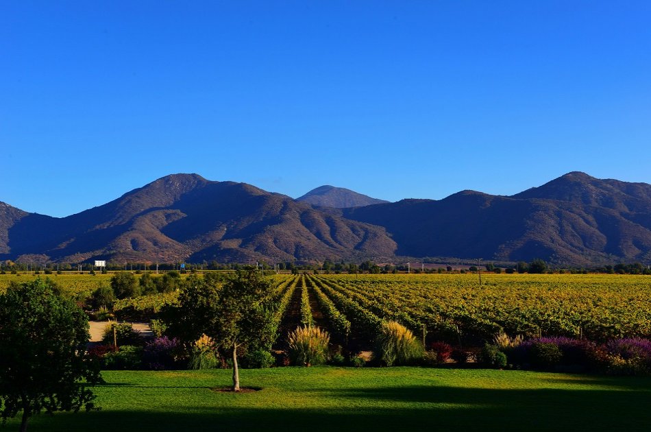 Casablanca Valley and Its Wines