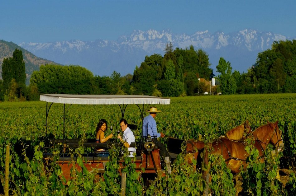 Colchagua Valley and Its Wines